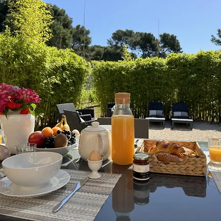 L'auguiere Est, Maisonnette Sans Vis-a-vis Et Au Calme Avec Vue Sur Les Vignes * Hyeres